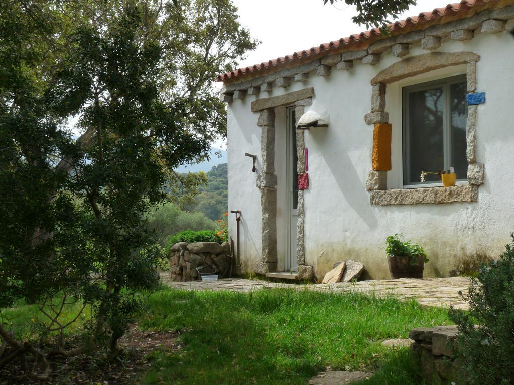La Scala Guesthouse Berchiddeddu Exterior photo