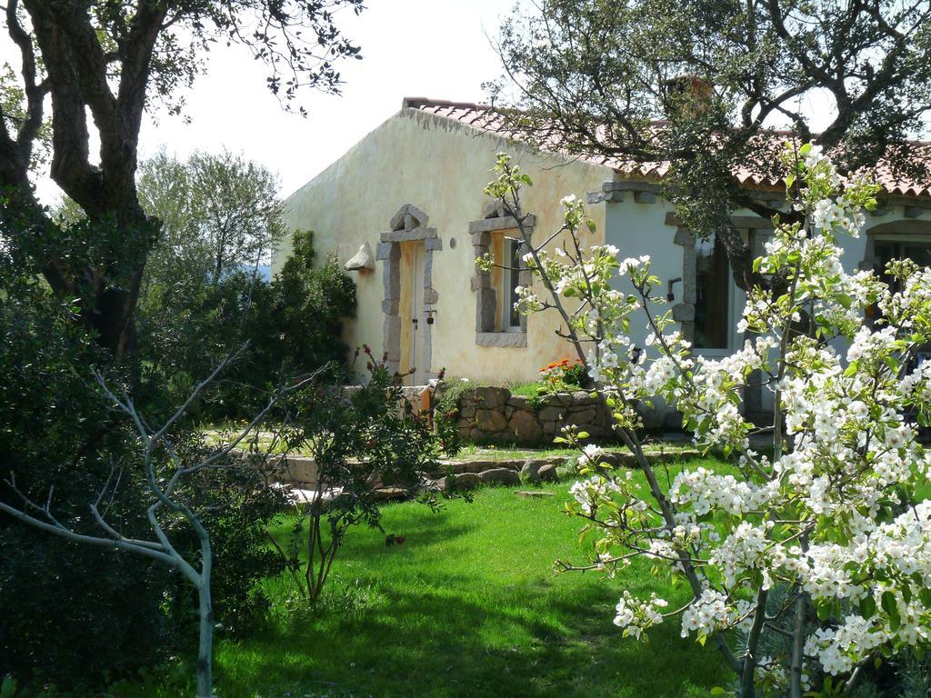 La Scala Guesthouse Berchiddeddu Exterior photo